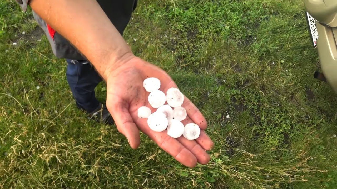 ПОПАЛ ПОД МОЩНЫЙ ГРАД / ВСТРЕТИЛ КАБАНОВ / смотреть онлайн