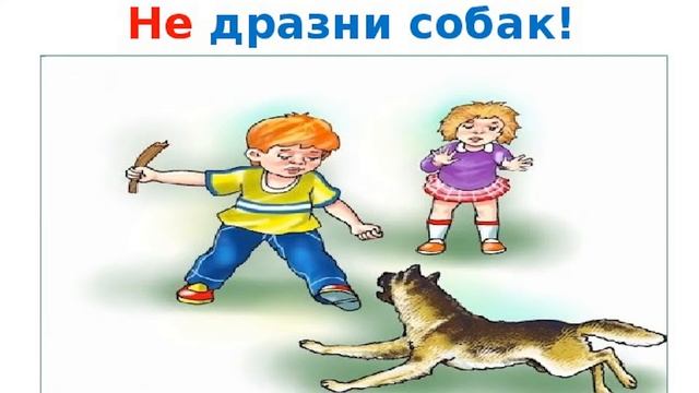 Информационный час "Правила поведения с бездомными животными" смотреть онлайн