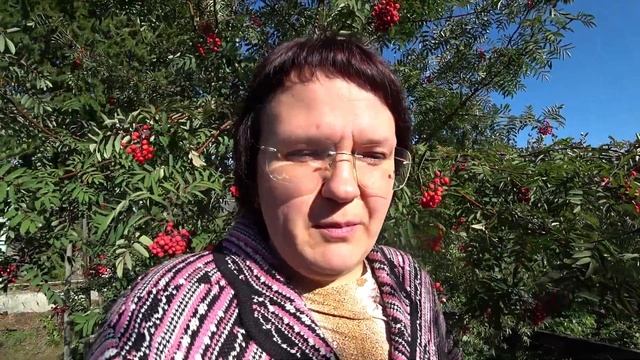 Осенью или весной сажать плодовые деревья? смотреть онлайн