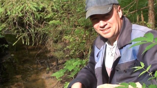 Солим огурцы по старинному рецепту (в ручье)! #4 смотреть онлайн