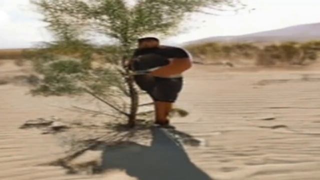 [AI] Discord mod throwing tree in the desert смотреть онлайн