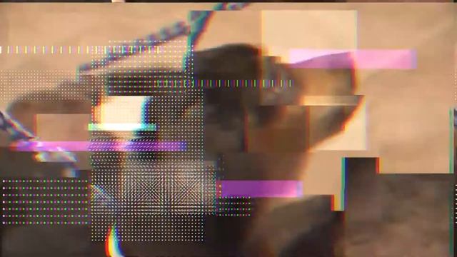 Всё о породе собаки Такса смотреть онлайн