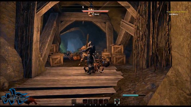 The Elder Scrolls Online Beta: Loading Screens and More! смотреть онлайн