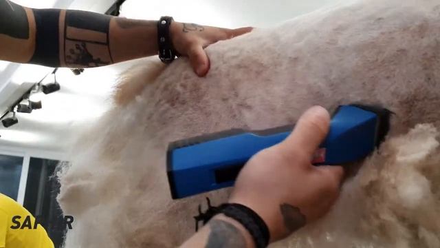 HEINIGER SAPHIR & SAPHIR CORD Evcil Hayvan Kırkma Makinesi!