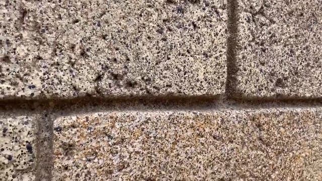 покраска  декоративного  камня,   бордюра , покраска  дорожки..       мастерская   Эльдара  Асанова