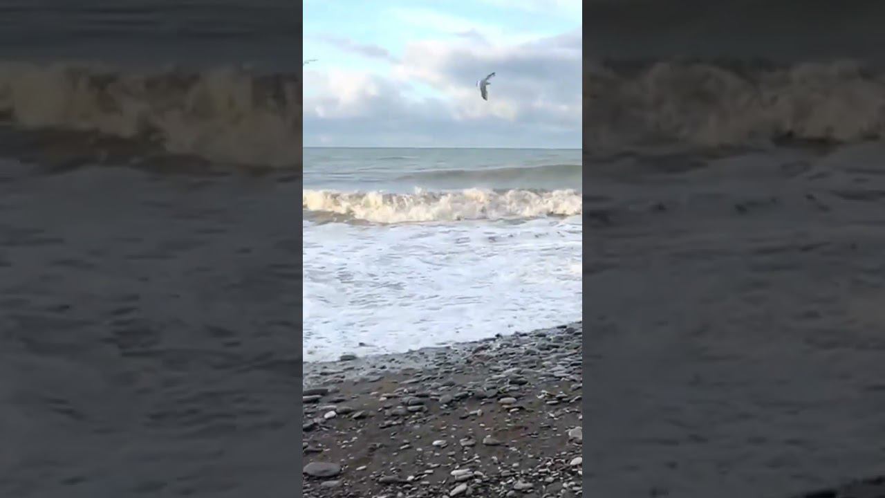 30.01.23 г. погода Лазаревское. Шторм #shorts #погодалазаревское #шторм #погодасочи #сочи смотреть онлайн