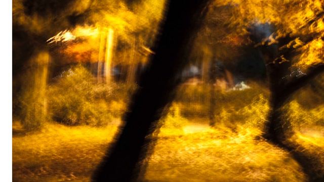 Artist Richard Kagan, Energy Within Stillness смотреть онлайн