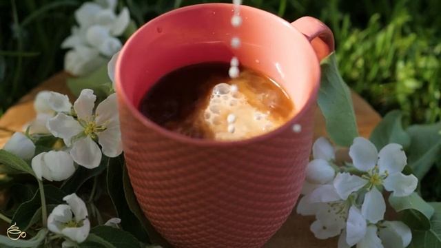 Парижское кафе Джаз | Расслабляющая джазовая музыка и фортепиано босса-нова для работы, фокус #3 смотреть онлайн