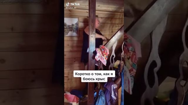Как я боюсь крыс смотреть онлайн
