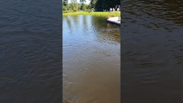 Катание на корабле через шлюз Домбровка на Августовском канале смотреть онлайн