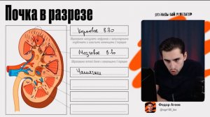Строение почки за 5 минут | ОГЭ по биологии | Федор Агеев