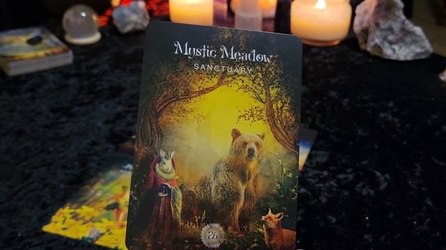 **SACRED FOREST** MESSAGES FROM YOUR SPIRIT GUIDES** TIMELESS ORACLE CARD READING смотреть онлайн