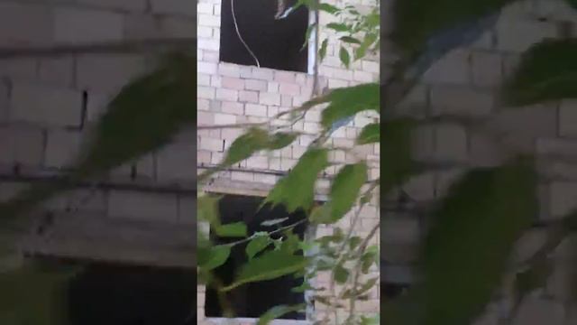 Красноярск, ул  Армейская, д  21 18 08 2017