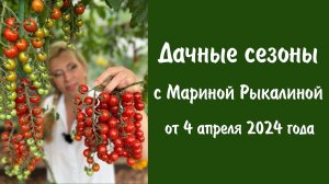Дачные сезоны с Мариной Рыкалиной от 4 апреля 2024 года