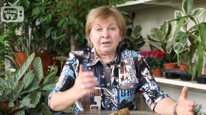 Самые вкусные сорта картофеля ? Картофель СЫНОК ? Обзор hitsadTV