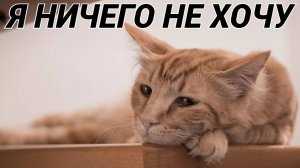 Когда ничего не хочется и теряешь веру в себя: что делать? Рассказывает психиатр!