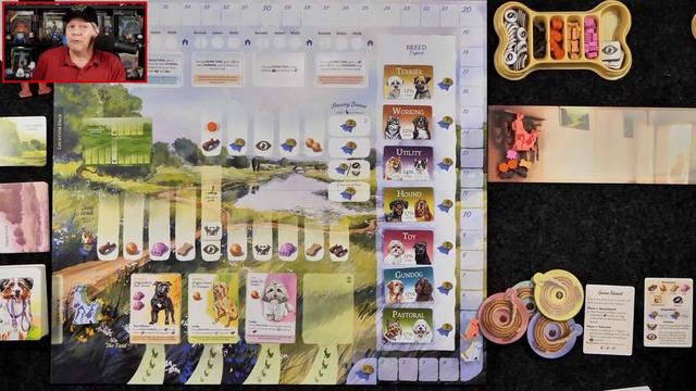 Dog Park Reviewed on The Gaming Gang Dispatch EP 934 смотреть онлайн