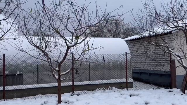 ЖИЗНЬ в ГЛУХОЙ ДЕРЕВНЕ, БЕЛАРУСЬ. НЕОЖИДАННО ПРИШЛА ЗИМА ОГОРОД и САД смотреть онлайн