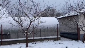 ЖИЗНЬ в ГЛУХОЙ  ДЕРЕВНЕ, БЕЛАРУСЬ. НЕОЖИДАННО  ПРИШЛА ЗИМА ОГОРОД и САД