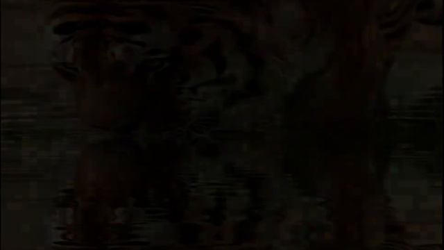 ФУТАЖИ - ЖИВОТНЫЕ НА ВОДОПОЕ смотреть онлайн
