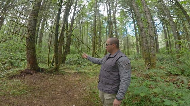 CUCHILLO DE LANZAMIENTO COLD STEEL LAFONTAINE (modelo kukri). VIDEO EN ESPAÑOL смотреть онлайн