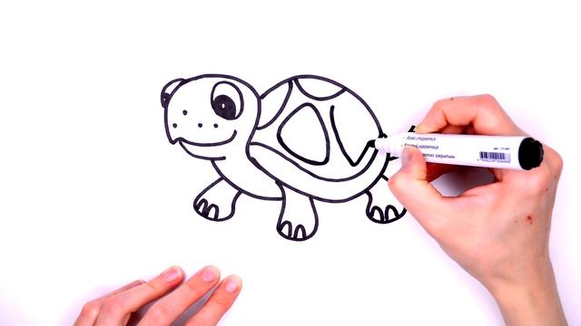 TURTLE. How to draw a turtle easy! Fast and beautiful смотреть онлайн