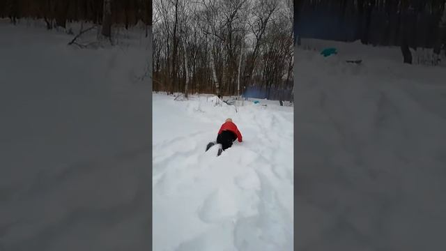 8-ое Марта 2018года