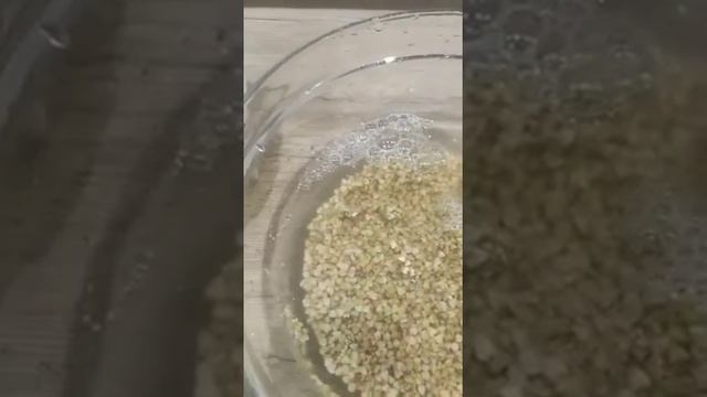 Озонирование круп и продуктов питания от химии, микробов, пестицидов смотреть онлайн