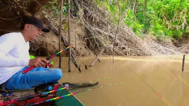 Pemandangan Langka! Udang Purba Raksasa & Ratusan Hewan Unik Menyerang Perahuku смотреть онлайн