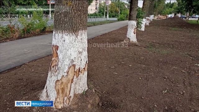 Повредили деревья при ремонте трубопровода смотреть онлайн