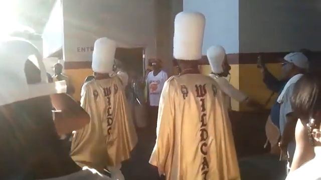 Bethune-Cookman University Homecoming 2010 tunnel смотреть онлайн