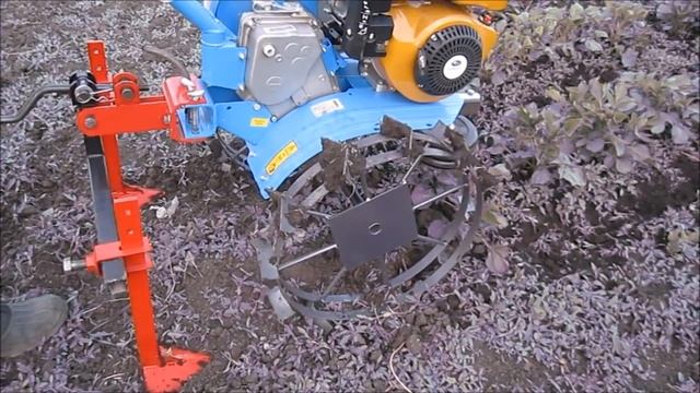 Культивация, окучивание и прополка междурядий картофеля мотоблоком Нева. смотреть онлайн