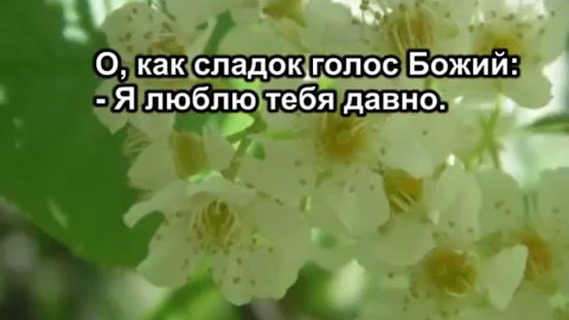 Долго в сумраке скитался смотреть онлайн