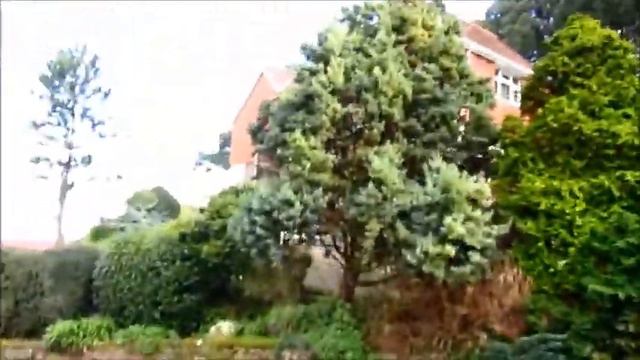 Остров Гернси. Мои выходные дни смотреть онлайн