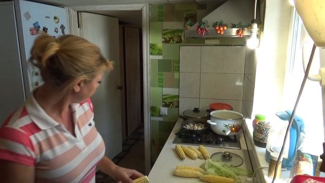 розовые стены зелёный потолок, а я всё на кухне, кукуруза и грибы, Шаповаловы влог смотреть онлайн