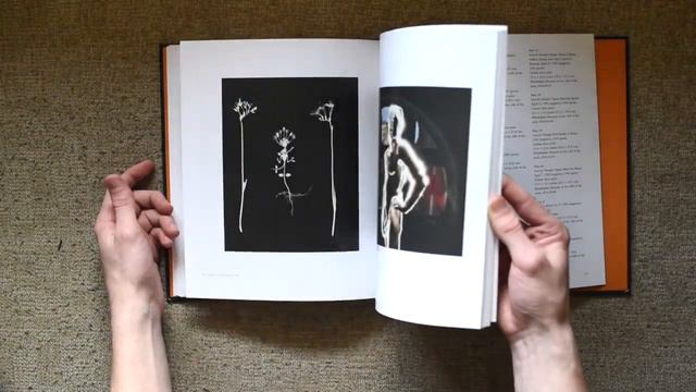 Nolan Warner-Sullivan, 1 minute review of David Lebe's "Long Light" смотреть онлайн