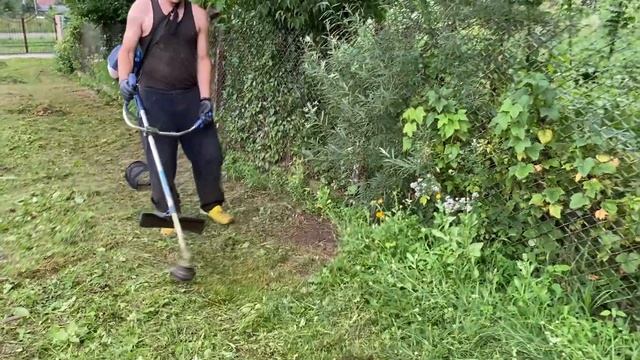 Как выкосить траву мотокосой под самый корень