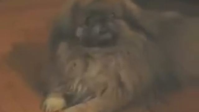 3 ТУПЫЕ СЕКУНДЫ смотреть онлайн