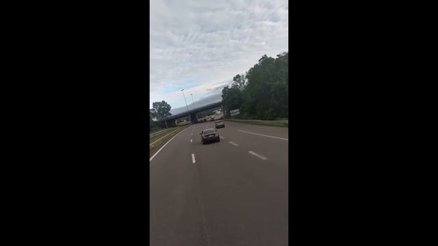 ОСТОРЖНО ОПАСНЫЙ ЛЯГУШАТНИК НА МЕРСЕ смотреть онлайн