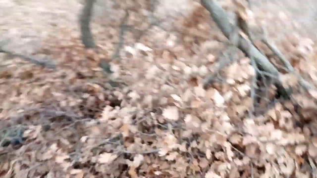 Шалаши 2 смотреть онлайн