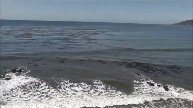 Клип на песню Беспечный ангел (тур по США) смотреть онлайн