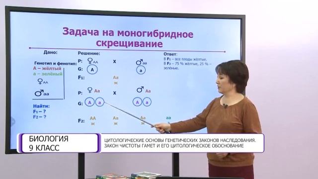 Биология. 9 класс. Цитологические основы генетических законов наследования смотреть онлайн