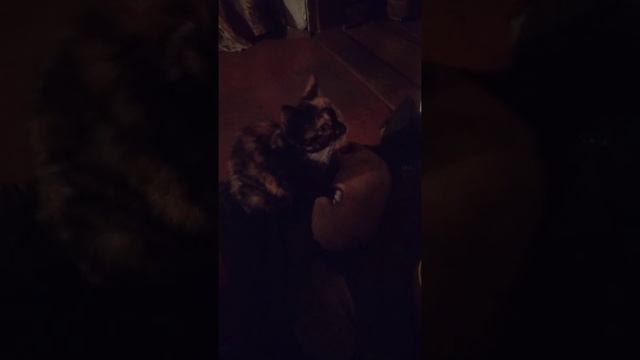 Массаж??? смотреть онлайн