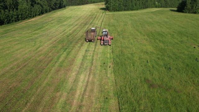 Заготовка кормов колхозом "Правда" (Кичменгско-Городецкий район) смотреть онлайн