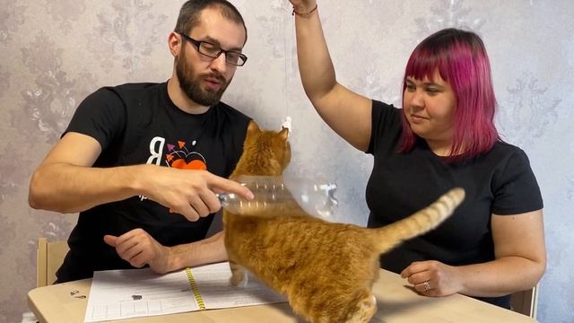 Лабораторная работа: Статическое электричество смотреть онлайн