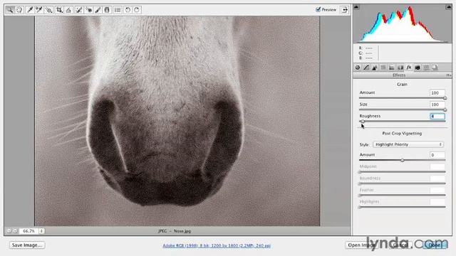 Adding digital film grain texture effects - Adobe Photoshop Essential смотреть онлайн