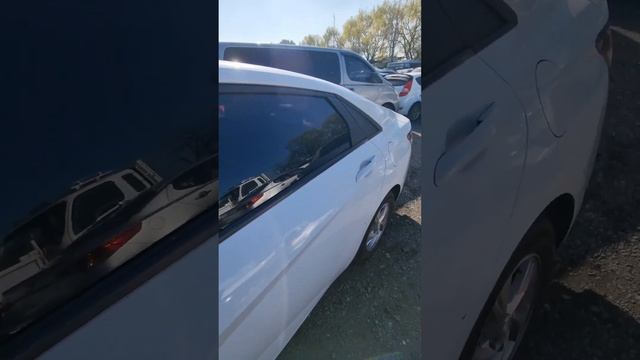 авто на заказ из Кореи ватсап +821056937078 смотреть онлайн