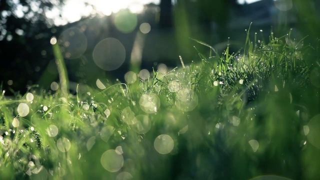 Не ВЗДУМАЙТЕ Так Вешать свою Одежду - утоните в ссорах, скандалах и неприятностях. смотреть онлайн