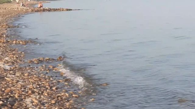 Ейск. Азовское море. 28 августа 2021г. смотреть онлайн