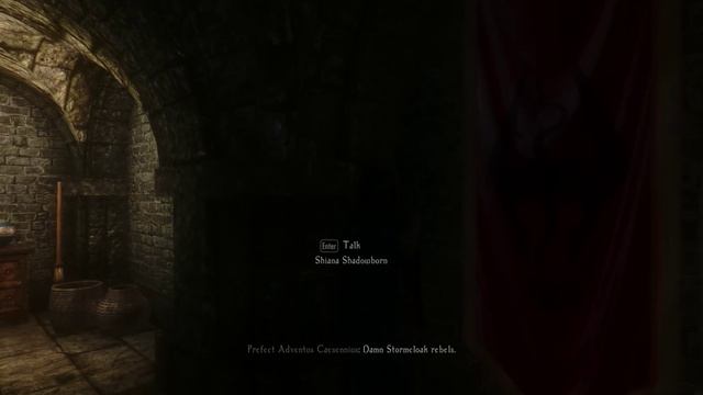 Skyrim mod spotlight - Guarded Leaders, part 2 смотреть онлайн